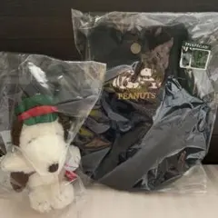 郵便局限定スヌーピー ぬいぐるみキーホルダー、ショルダーポシェット