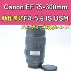Canon純正 75-300mm 望遠レンズ 極美品 a4963 - メルカリ