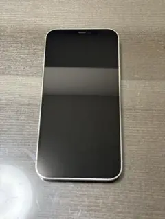 iPhone12promax　256GB　シルバー　SIMロック解除済み