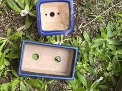 海鼠釉　盆栽鉢 2個セット 植木鉢 陶器 長方鉢 正方鉢 青色のサムネイル