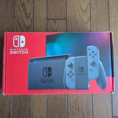 NINTENDO SWITCH HAD-S-K グレー