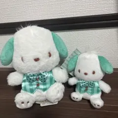 サンリオキャラクターズ　ポチャッコ　チョコミント　ぬいぐるみ＆マスコット