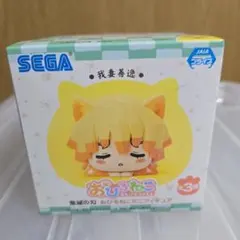 我妻善逸　おひるねこ