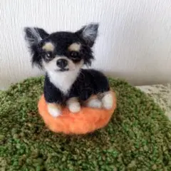 羊毛フェルト****まったりチワワ♡のサムネイル
