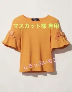 2026年最新】エムズグレイシー カットソーの人気アイテム - メルカリ