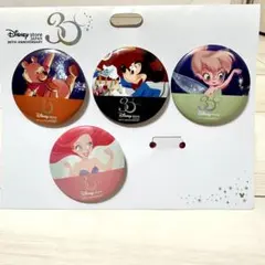 【新品未使用】ディズニーストア 30周年 ピンバッジセット Disney store ピンバッジ セット ディズニーストア 30周年 ピンバッチ