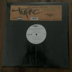 Item thumbnail for item ef3650c3-b593-486c-979f-4d7288cb28f1