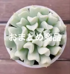 ヒロ様 リクエスト 2点 まとめ商品