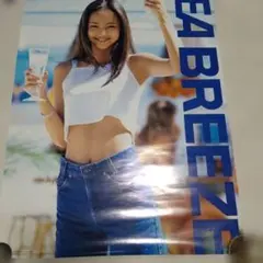 激レア安室奈美恵 シーブリーズ ポスター73✕52センチ