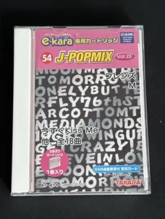 美品　e-kara イーカラ カートリッジ　J-POPMIX レベッカ