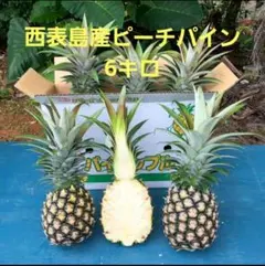 西表島産ピーチパイン 9キロ 西表島産 ピーチパイン9キロ - メルカリ