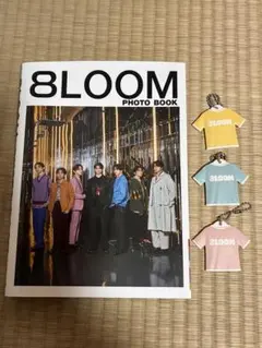 Item thumbnail for item d7345230-ff87-41dc-a1af-7cc8c4c448a3