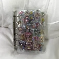 Item thumbnail for item ffc45c7d-6c83-41a1-a245-b49bb7c00c52