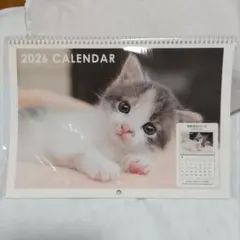 Item thumbnail for item bece6430-322d-47c4-bca2-4def4c5ed5d1