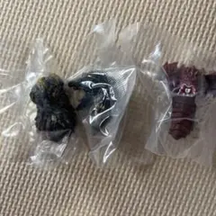 一番くじ　ゴジラ　怪獣乱舞　荒ぶるモノ　E賞　モンスターヘッドマグネット　3点
