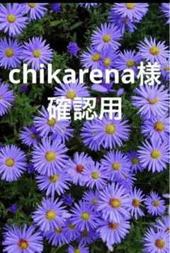 chikarena様確認用