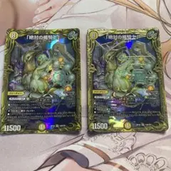 24時間以内発送】「絶対の楯騎士」B 4枚セット - メルカリ