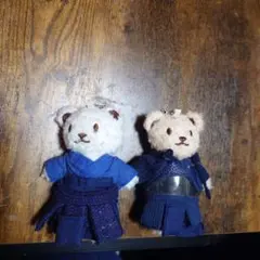검도를 입은 북극곰