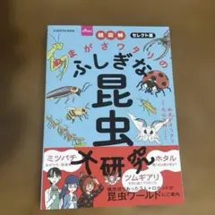 Item thumbnail for item 996bb498-3fc1-4104-907e-49026fc8f8db