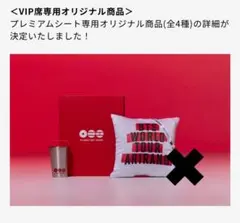 BTS WORLD TOUR ARIRANG VIP席特典