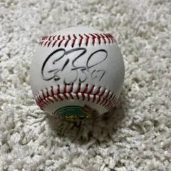 2025年最新】投げ入れサインボールの人気アイテム - メルカリ