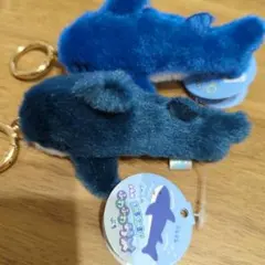 ぶるぶる！ふわふわサメプチ