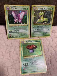 旧裏面 ポケモンカード エリカのラフレシア ラフレシア モルフォン