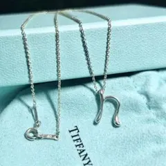 極美品 ティファニー イニシャル A タグ ネックレス シルバー925 TIFFANY&Co. ティファニー TIFFANY & Co. イニシャル a