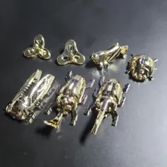 金メッキ コリス フエラムネ 7種 ヘラクレスオオカブト カブト セミ 他 