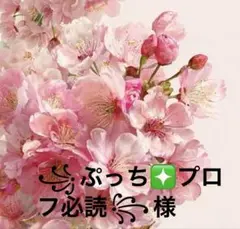 ꧁ぷっち❇プロフ必読꧂様　専用