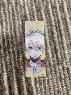 ナツコミ2024 しおり ダイヤモンドの功罪