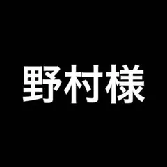 野村様 リクエスト 5点 まとめ商品