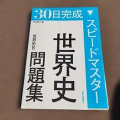 30日完成 スピードマスター 世界史問題集 世界史B 山川出版社