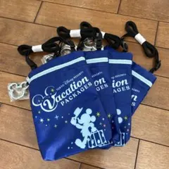 ディズニーバケーションパッケージバッグ