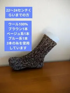 Item thumbnail for item 8f596c1a-cfc8-4700-b79d-33a520d5979a