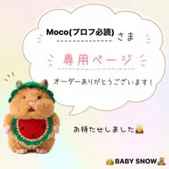 Mocoさま専用☆