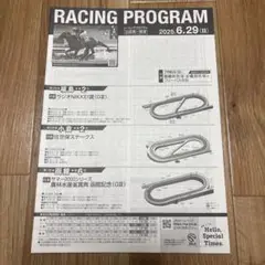 【競馬】レーシングプログラム　2025年6月29日（日）