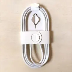 【純正】Apple iPhone 16 編み込み ケーブル タイプC 正規