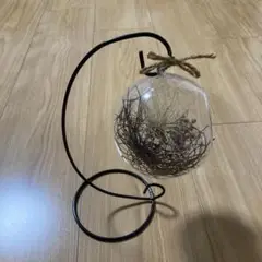ガラステラリウム 金属スタンド付き