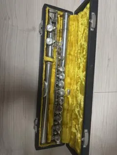 Item thumbnail for item 00954a7d-63b1-41d0-8cbd-eb570a90b8ce