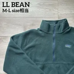 LL BEAN ハーフジップ フリース M-L 70s ヴィンテージ