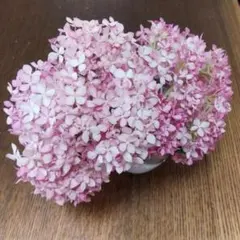 オトト様 リクエスト 2点 まとめ商品