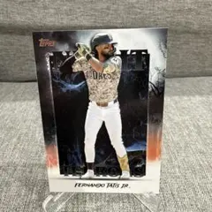 topps update 2025 Tatis Jr. インサート
