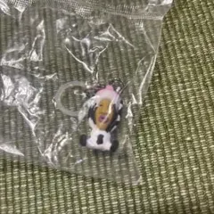 こびとずかん　めじるしフレンズ　シボリオオチチ