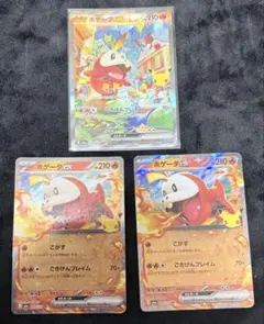 【期間限定出品】ポケカ ホゲータ SAR RR