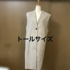 ZARA ロングジレ
