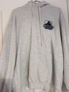 エクストララージ アーチロゴ ハーフジップ スウェットパーカー LARGE 