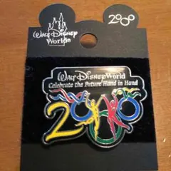 ディズニー　ミレニアム ピンバッジ レア（フロリダ）