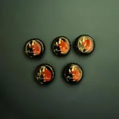箕面ビール王冠　5個