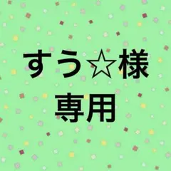 すう☆様専用
